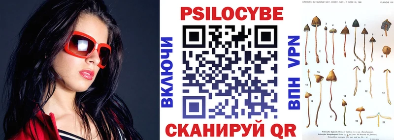 купить сайты Сочи Псилоцибиновые грибы Psilocybine cubensis